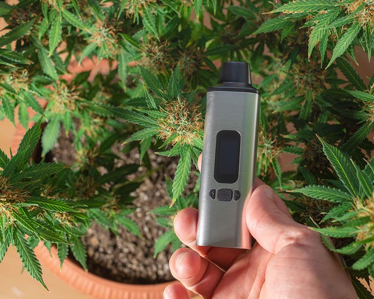 best dry herb vaporizers 2020